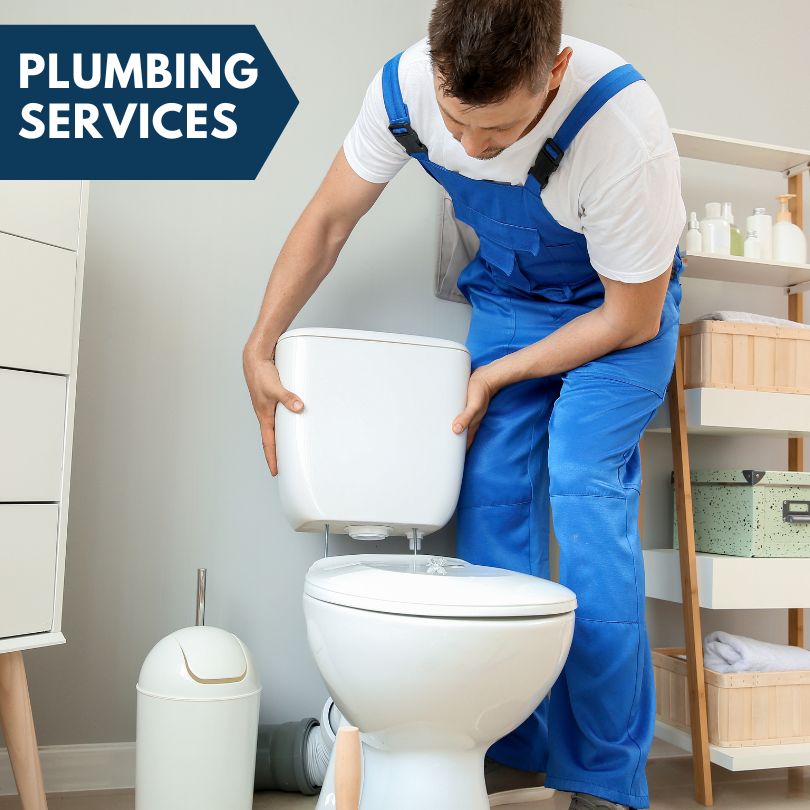 Plumbing Company in Dennison, IL